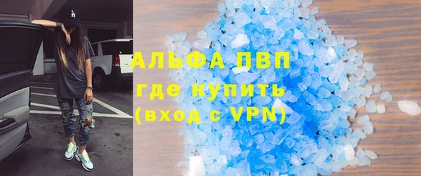 сатива Алзамай