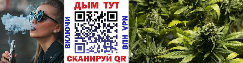 Бошки марихуана OG Kush  Змеиногорск 